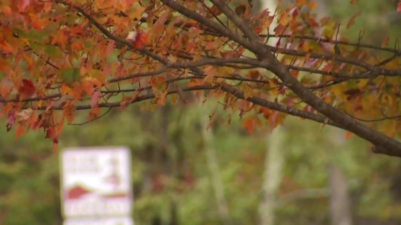 Fall foliage to boost tourism, economy despite Blue Ridge Parkway closures