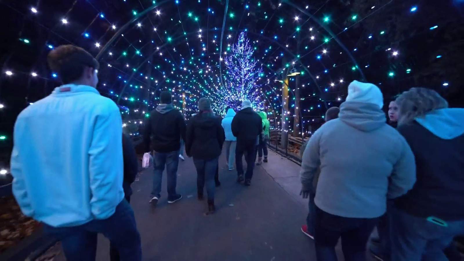 Dollywood features 5 million holiday lights during Christmas festival