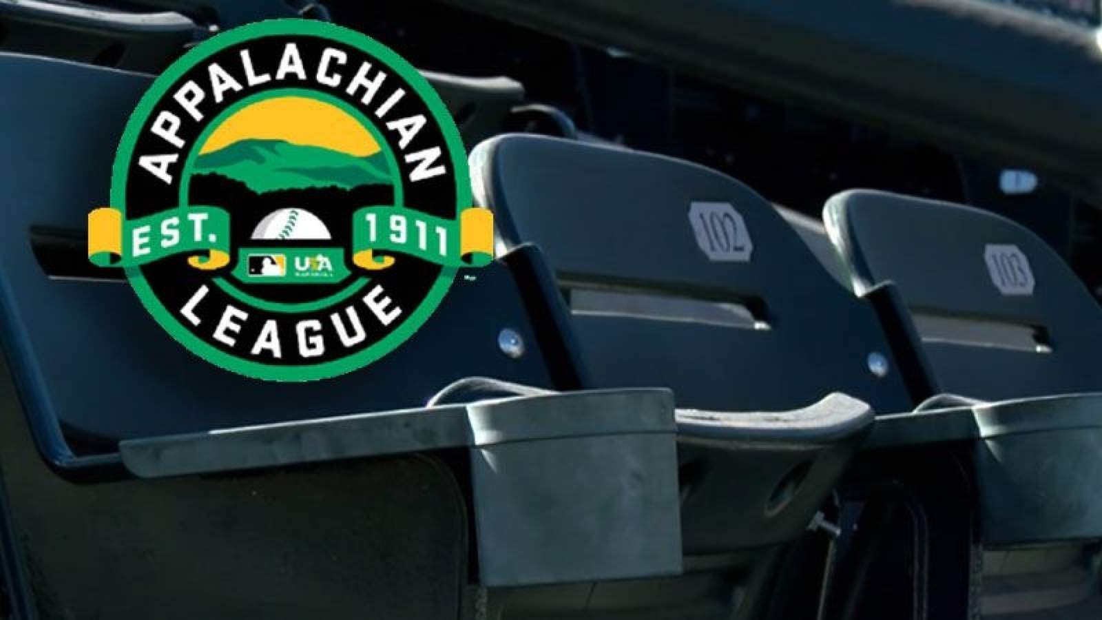 Teams to rebrand as Appalachian League transforms into a collegiate wood-bat league