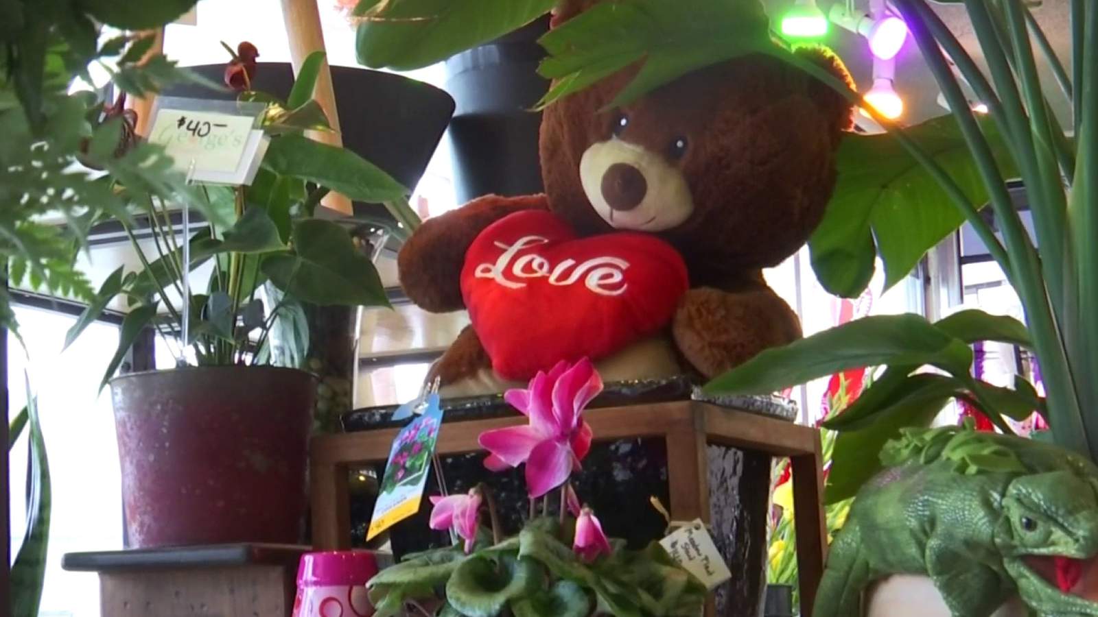 George’s Flowers in Roanoke prepares for busiest Valentine’s Day yet