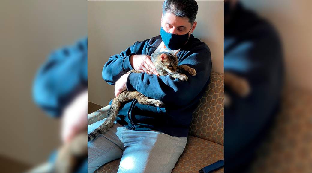 Cat that vanished 15 years ago is reunited with owner