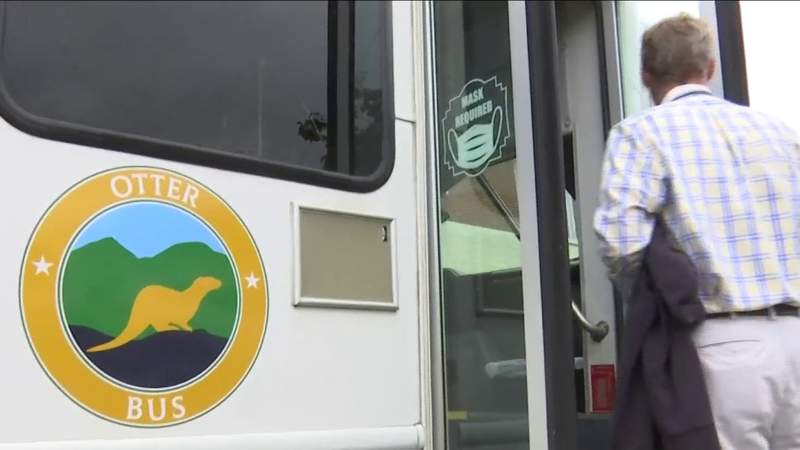 Bedford rolls out new public bus system