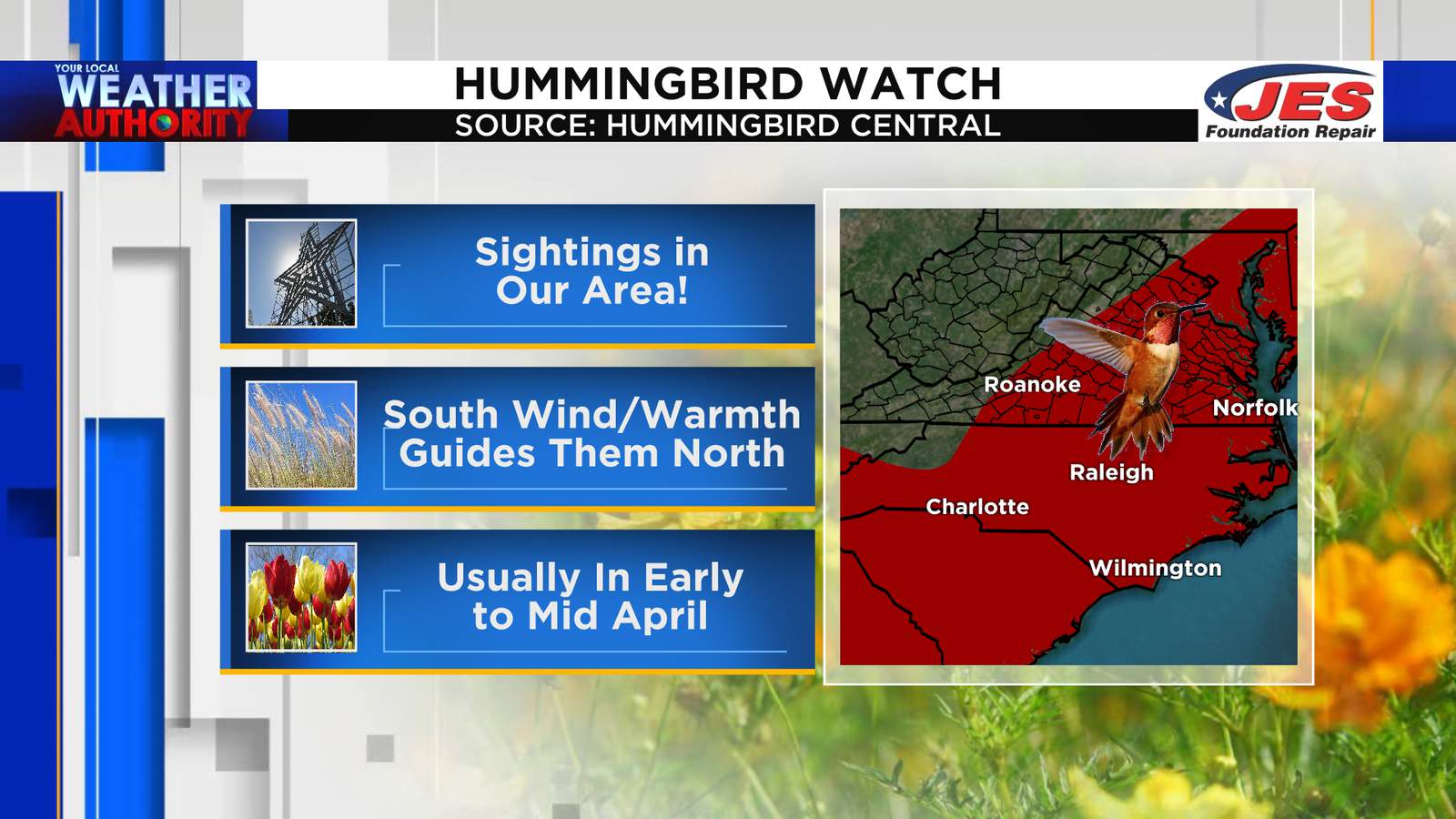 Hummingbird watch! When you could see them in your backyard this spring