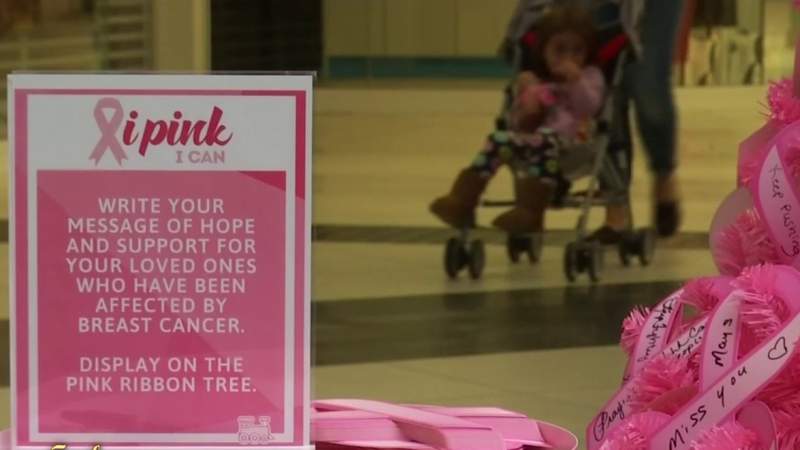 Join the fight against breast cancer during the ‘I Pink I Can’ event in Lynchburg this weekend