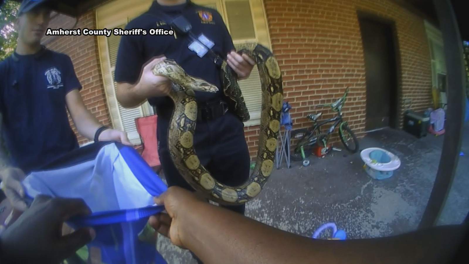 ‘10-4, It’s a python, not a pipe bomb’: 911 call gives Amherst County first responders a slithering surprise