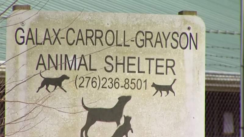 Animal shelter in Galax makes a comeback after negligent complaints in the past