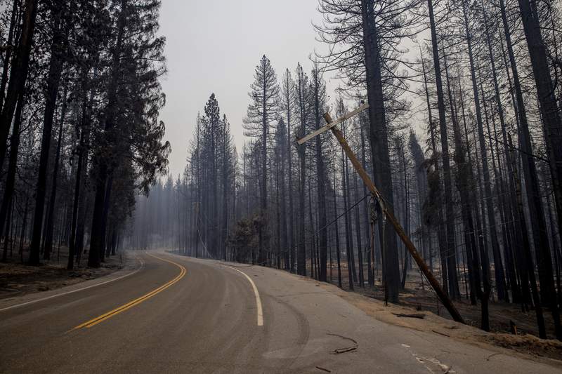 Fueled by winds, largest wildfire moves near California city