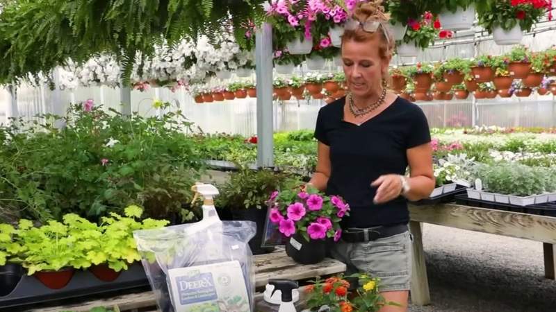 Answering all of your garden questions with a green thumb expert