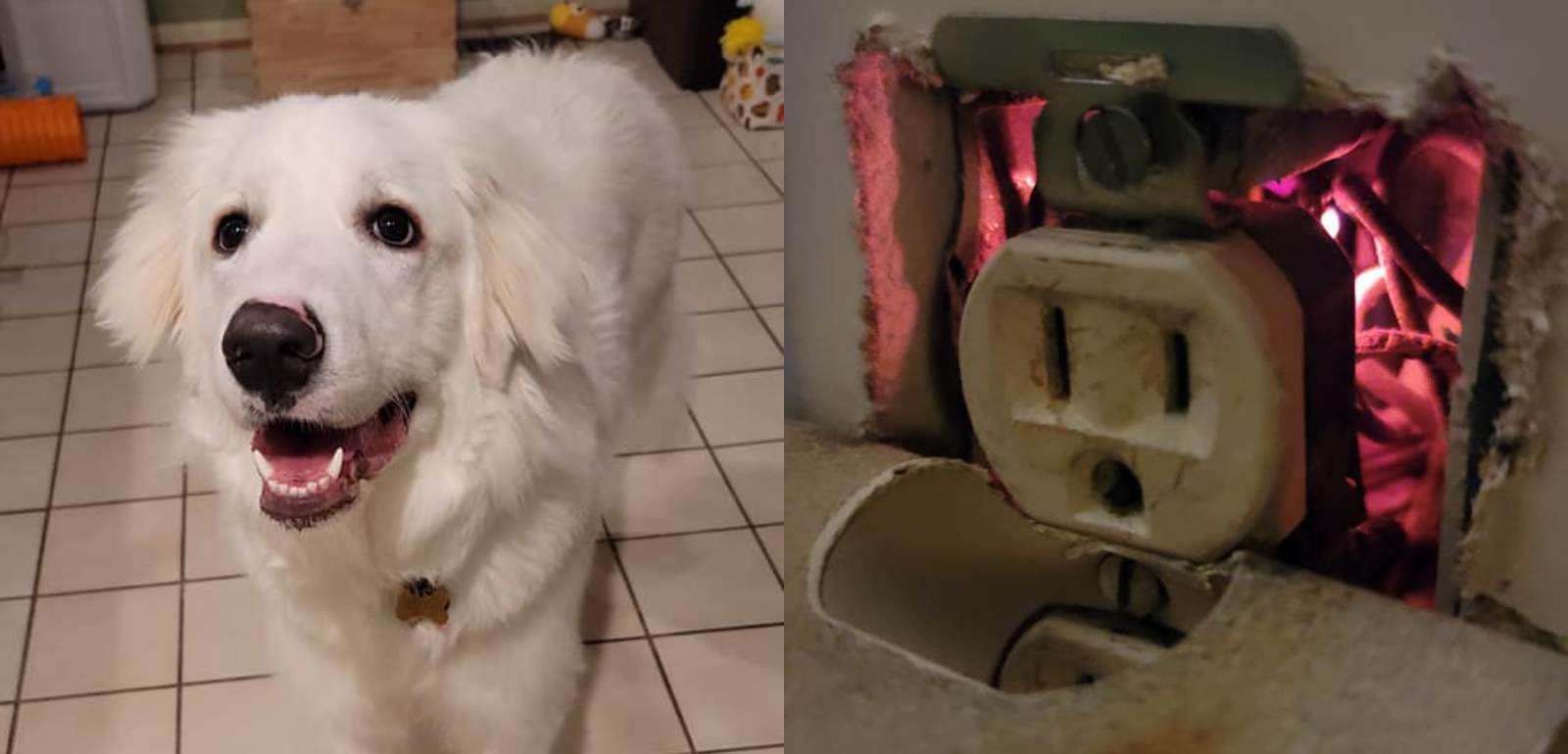 ’Our house would’ve been up in flames’: Dog alerts family to small fire behind outlet