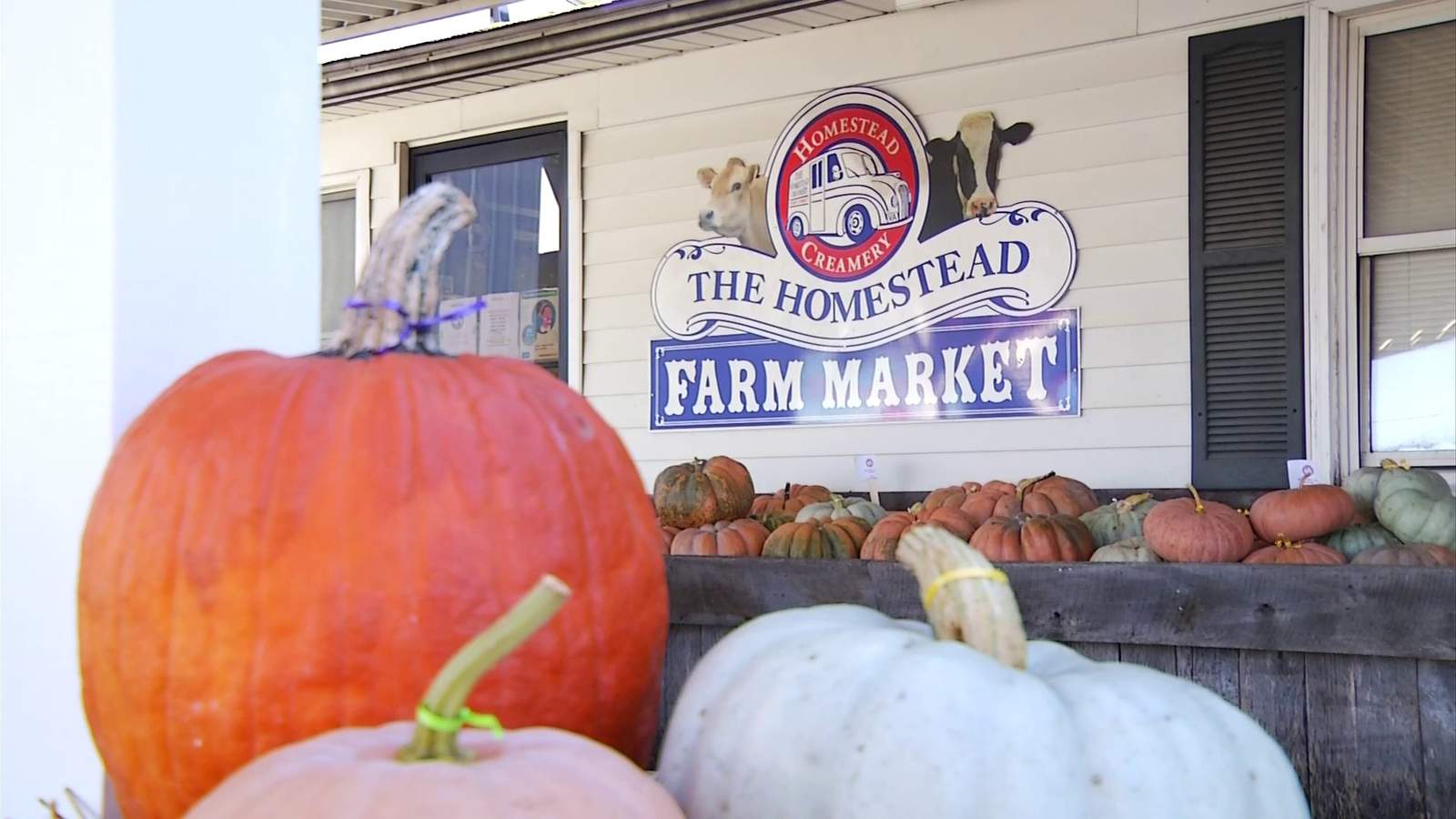 Tasty Tuesday: Homestead Creamery holds on to heritage, history and great taste