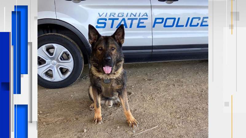 Virginia State Police K-9 dies days after overheating amidst search for hit-and-run suspects