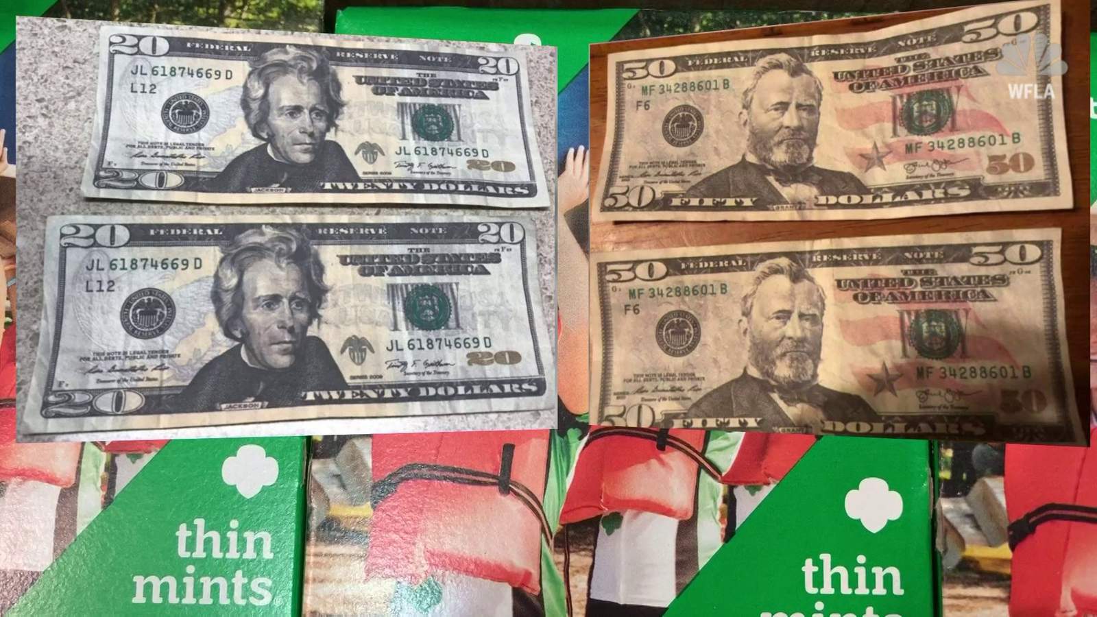 Crooks & cookies: Counterfeiters target Girl Scouts