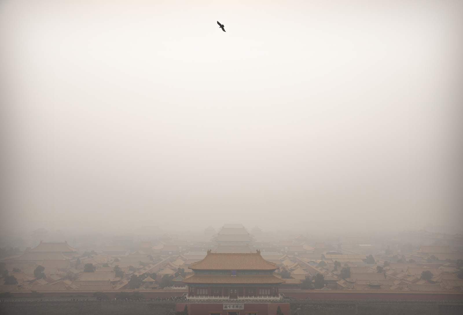 China sets moderate new energy goals for climate change