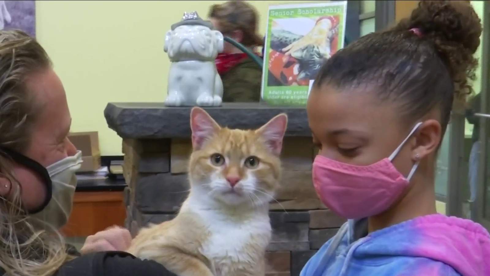 Lynchburg Humane Society sees overwhelming support for foster program amid pandemic