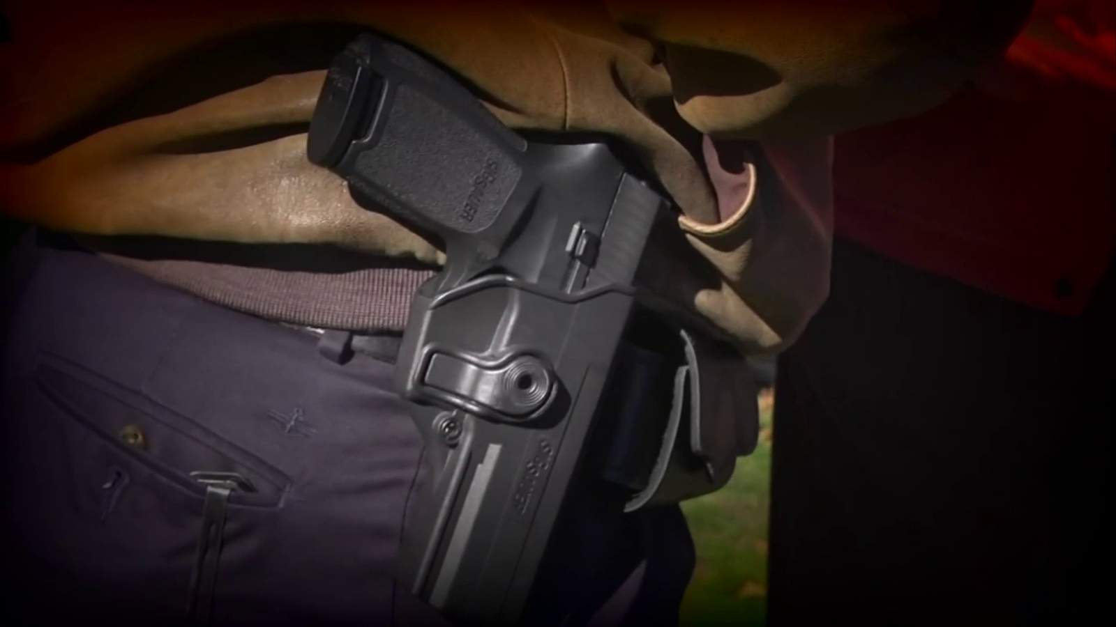 Four gun control bills move forward in Virginia Senate