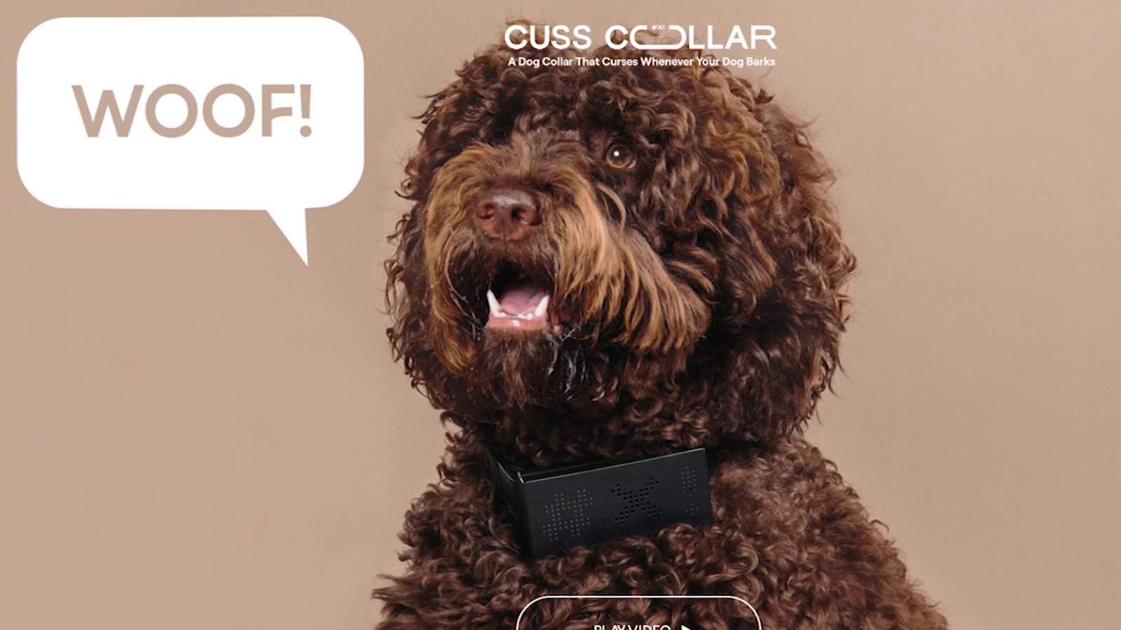 Dog collar turns barks into curse words