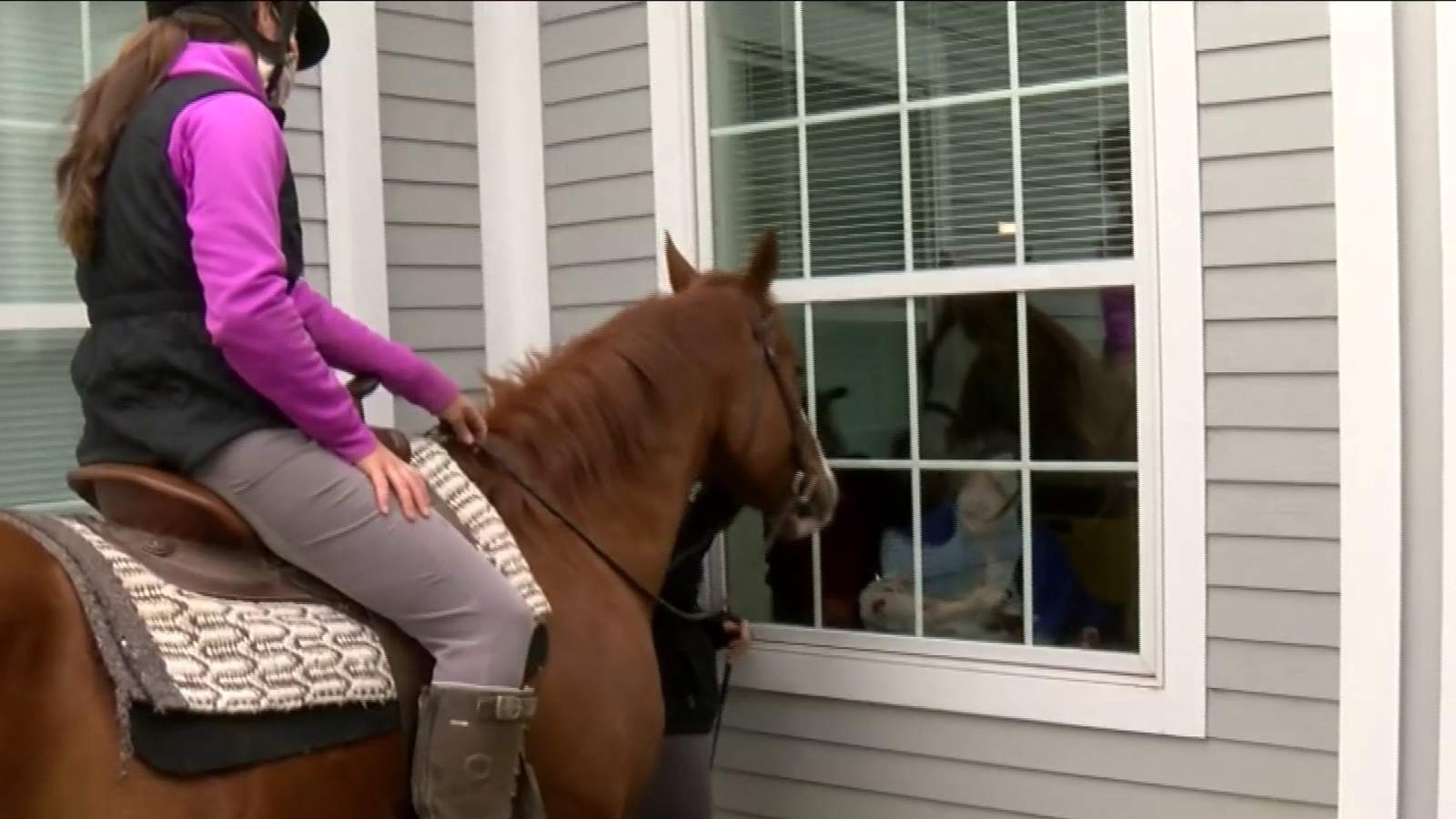 Horses visit Roanoke nursing home to cheer up residents