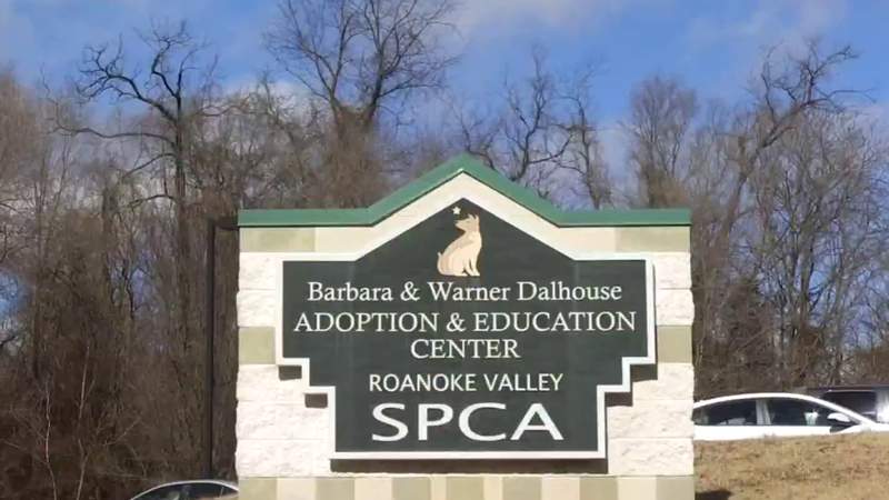 Roanoke Valley SPCA awarded $10,000 grant from Louise R. Lester Foundation