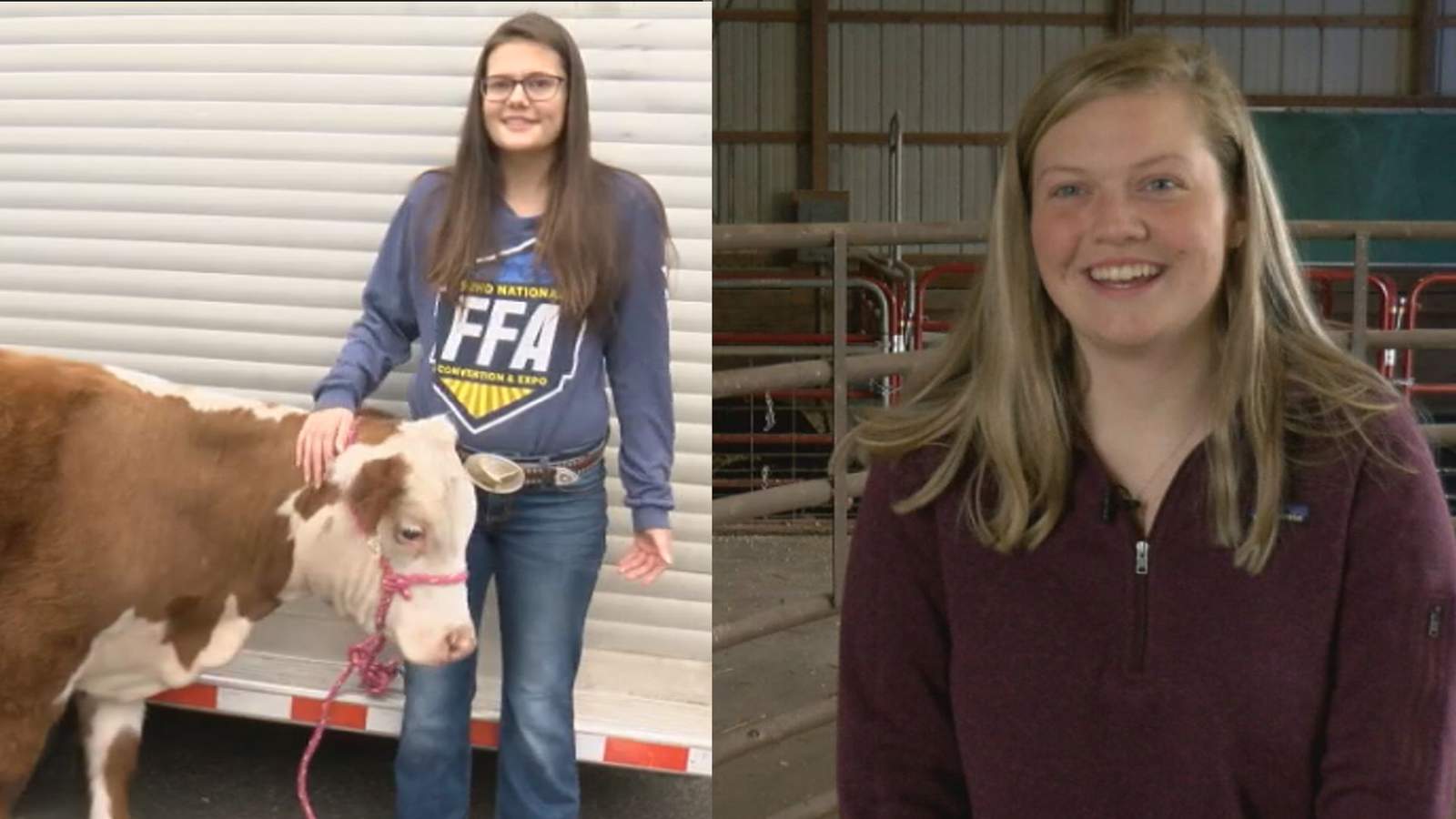 Henry County students win heifers in scholarship competition