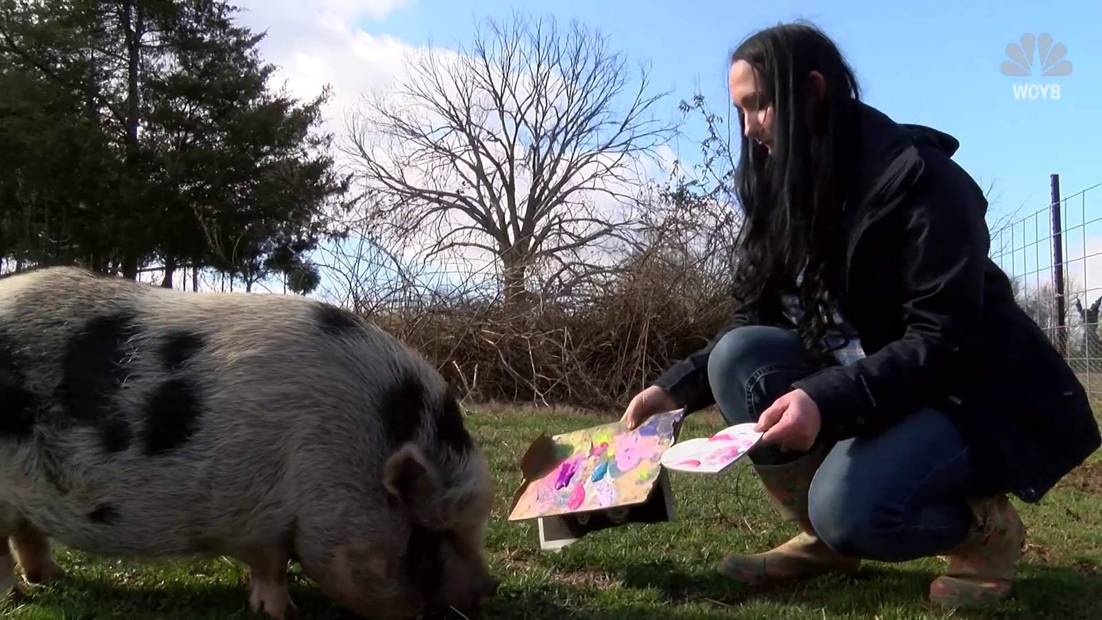 Paintings by rescued pigs bring in big money for Tennessee animal sanctuary