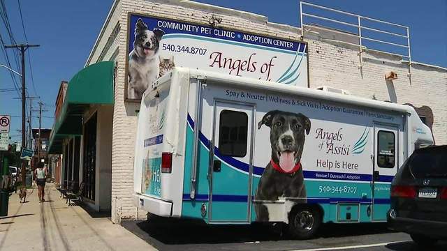 9 dogs evacuated from Hurricane Ida set to arrive at Angels of Assisi