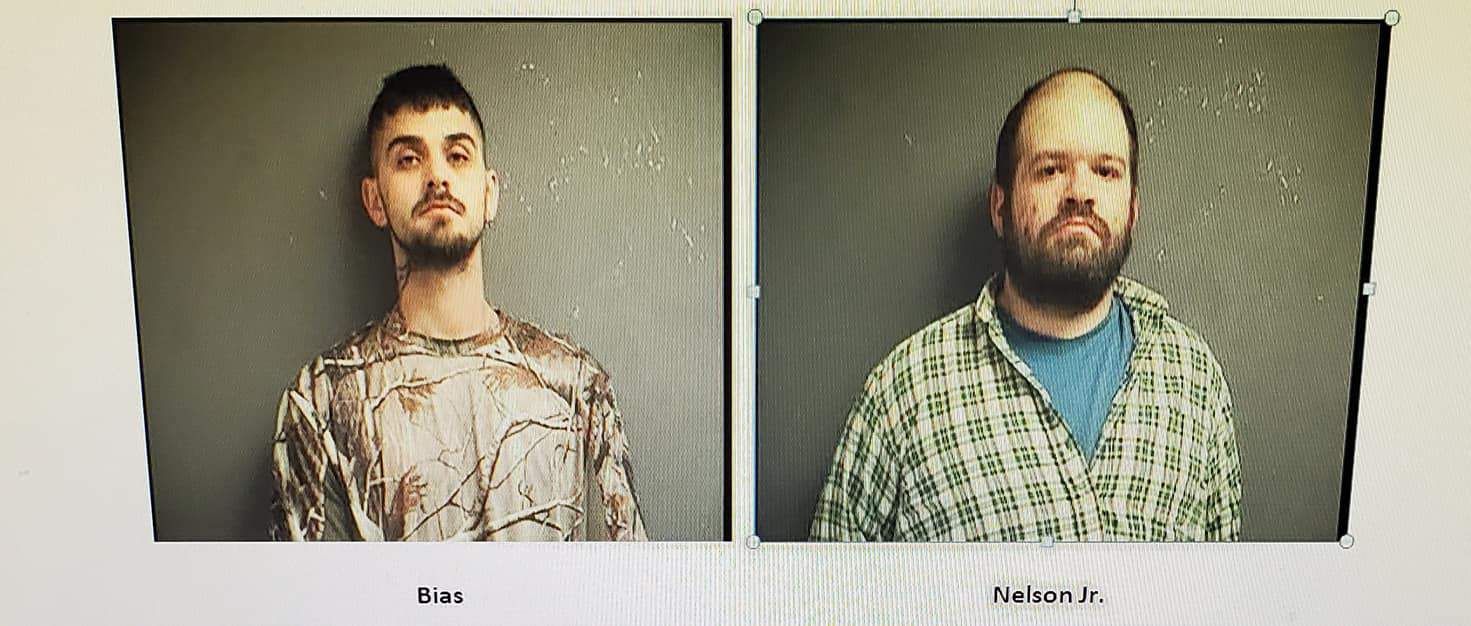 Two Virginia men facing drug charges after traffic stop in Carroll County